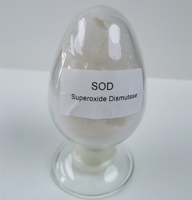 Pureza antioxidante del suplemento el 99% de la dismutasa del superóxido de la categoría alimenticia SOD2 Mn/Fe