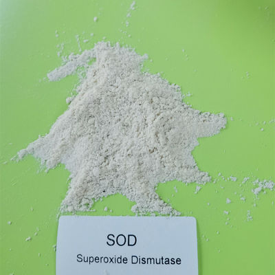 Dismutasa antioxidante el 99% 500000iu/g del superóxido del CÉSPED