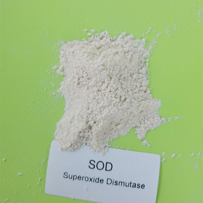 materia prima del cosmético de la dismutasa del superóxido del CÉSPED de 500000iu/g el 99%