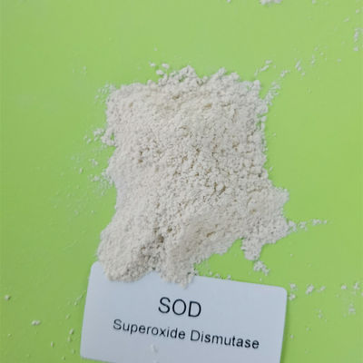Dismutasa del superóxido de la categoría alimenticia 50000iu/g en Skincare 9054-89-1