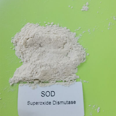 9054-89-1 dismutasa del superóxido del 99% en Skincare
