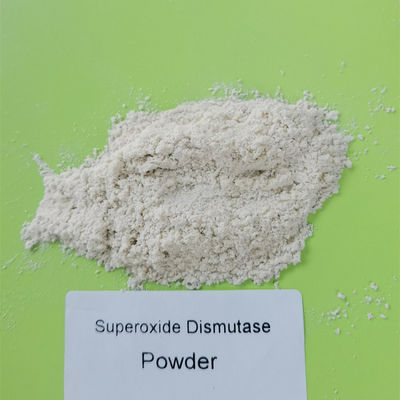 CÉSPED blanco del polvo de la dismutasa del superóxido antienvejecedor