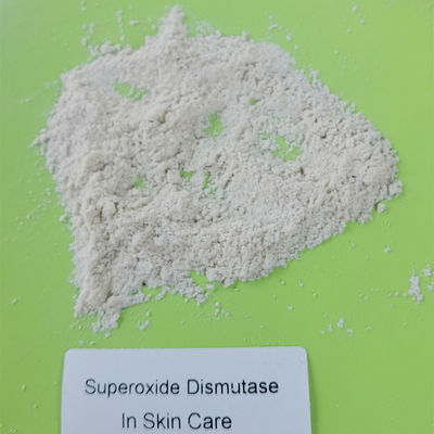 Dismutasa microbiana del superóxido de la fermentación en cosméticos 9054-89-1