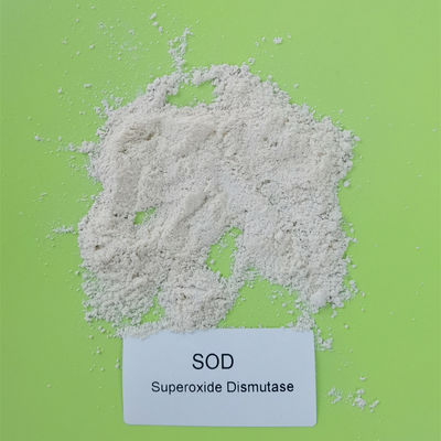 Polvo de la dismutasa del superóxido del CÉSPED de la licencia de la producción alimentaria del análisis 50000iu/g